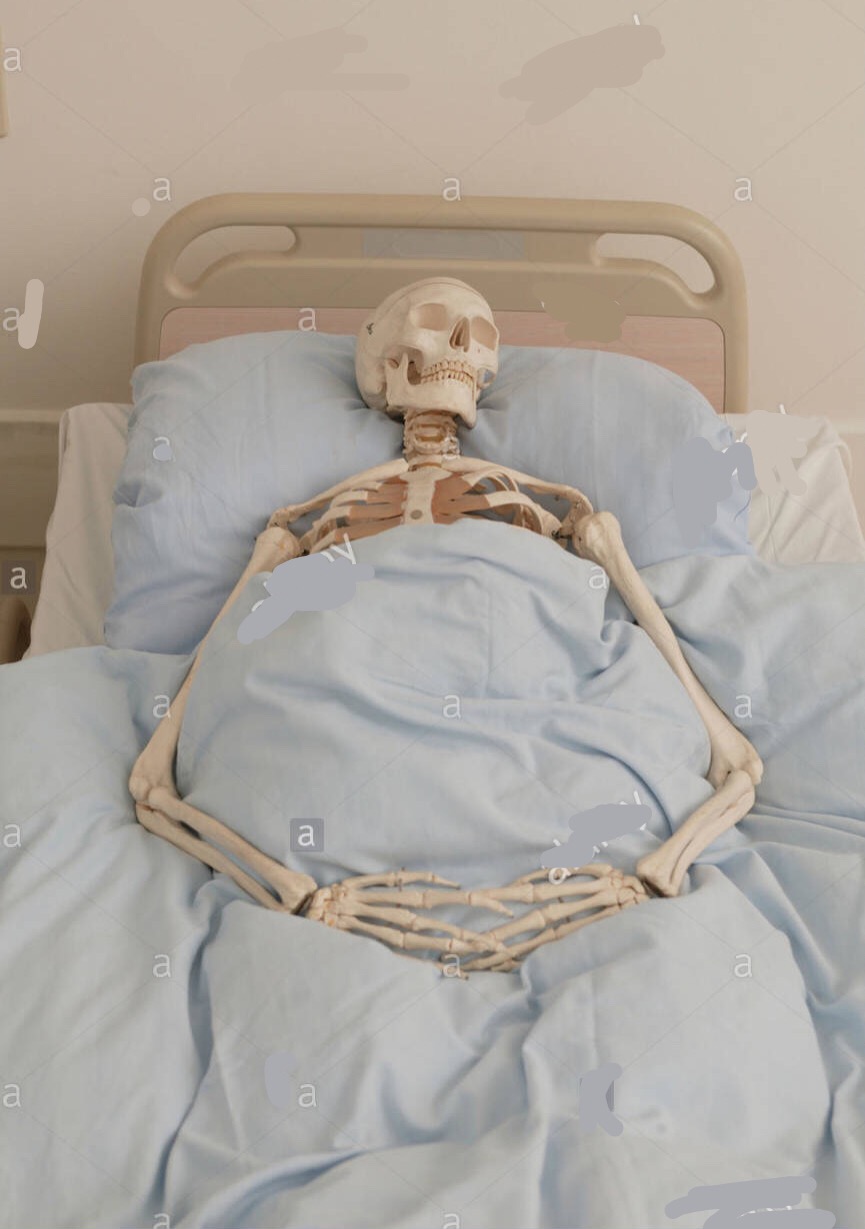 Skeleton in bed Blank Meme Template