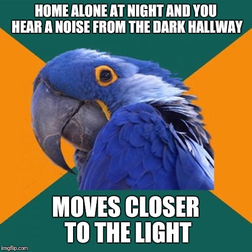 Definitely never happened | HOME ALONE AT NIGHT AND YOU HEAR A NOISE FROM THE DARK HALLWAY; MOVES CLOSER TO THE LIGHT | image tagged in memes,paranoid parrot | made w/ Imgflip meme maker