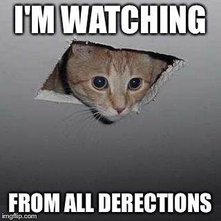 Ceiling Cat Meme | I'M WATCHING; FROM ALL DERECTIONS | image tagged in memes,ceiling cat | made w/ Imgflip meme maker