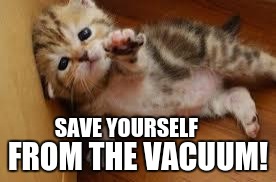 Sad Kitten Goodbye | SAVE YOURSELF; FROM THE VACUUM! | image tagged in sad kitten goodbye | made w/ Imgflip meme maker