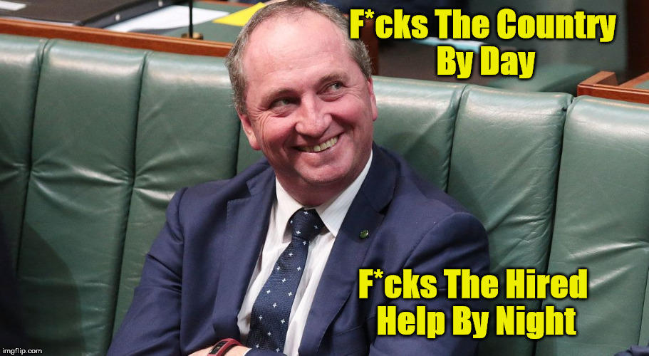 Barnaby ( can't keep in his pants ) Joyce | F*cks The Country By Day; F*cks The Hired Help By Night | image tagged in barnaby joyce adulter,barnaby joyce affair,barnaby joyce  vikki campion,banaby joyce home wrecker | made w/ Imgflip meme maker