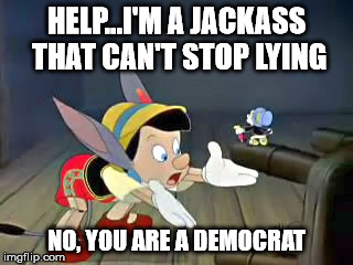 pinocchio-jackass | HELP...I'M A JACKASS THAT CAN'T STOP LYING; NO, YOU ARE A DEMOCRAT | image tagged in pinocchio-jackass | made w/ Imgflip meme maker