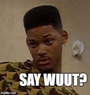 say what | SAY WUUT? | image tagged in say what | made w/ Imgflip meme maker