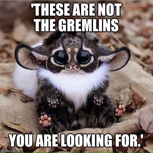 Gremlins  | 'THESE ARE NOT THE GREMLINS; YOU ARE LOOKING FOR.' | image tagged in these arent the droids you were looking for | made w/ Imgflip meme maker