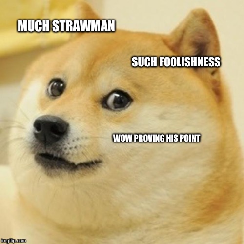 Doge Meme | MUCH STRAWMAN SUCH FOOLISHNESS WOW PROVING HIS POINT | image tagged in memes,doge | made w/ Imgflip meme maker