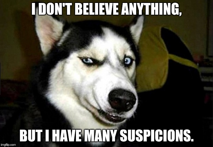 Skeptical Husky | I DON'T BELIEVE ANYTHING, BUT I HAVE MANY SUSPICIONS. | image tagged in suspicious husky dog,belief,funny | made w/ Imgflip meme maker