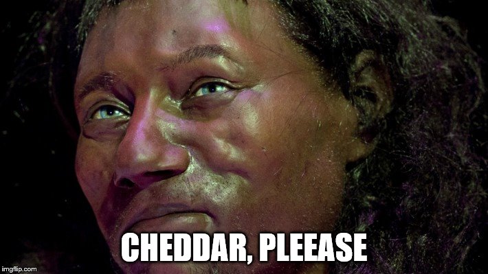 cheddar | CHEDDAR, PLEEASE | image tagged in cheddar | made w/ Imgflip meme maker