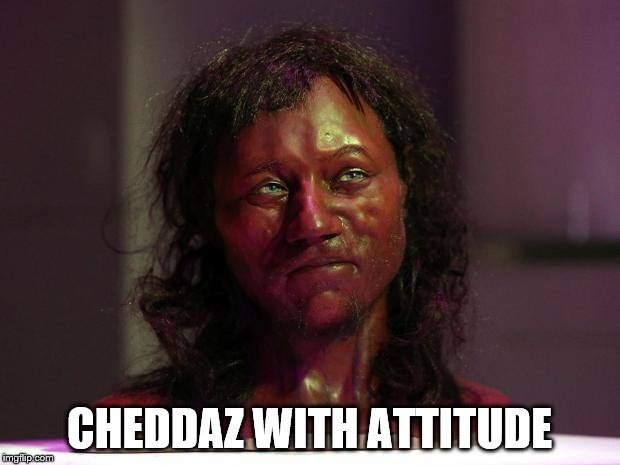 CHEDDAZ WITH ATTITUDE | image tagged in cheddaz | made w/ Imgflip meme maker