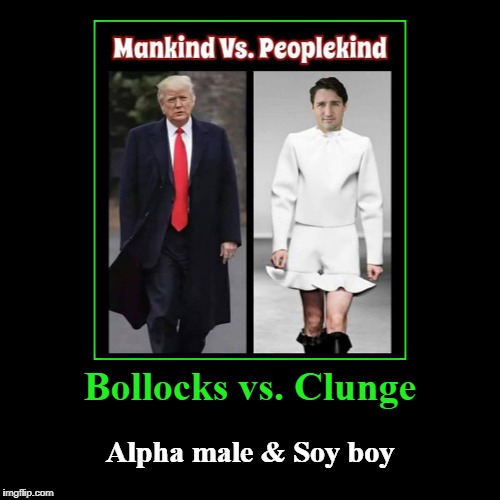 Bollocks vs. Clunge | image tagged in alpha male,soy boy,donald trump,justin trudeau,bollocks,clunge | made w/ Imgflip demotivational maker
