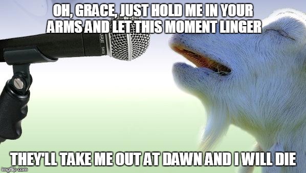 Grace, by Jim McCann | OH, GRACE, JUST HOLD ME IN YOUR ARMS AND LET THIS MOMENT LINGER; THEY'LL TAKE ME OUT AT DAWN AND I WILL DIE | image tagged in goat singing | made w/ Imgflip meme maker