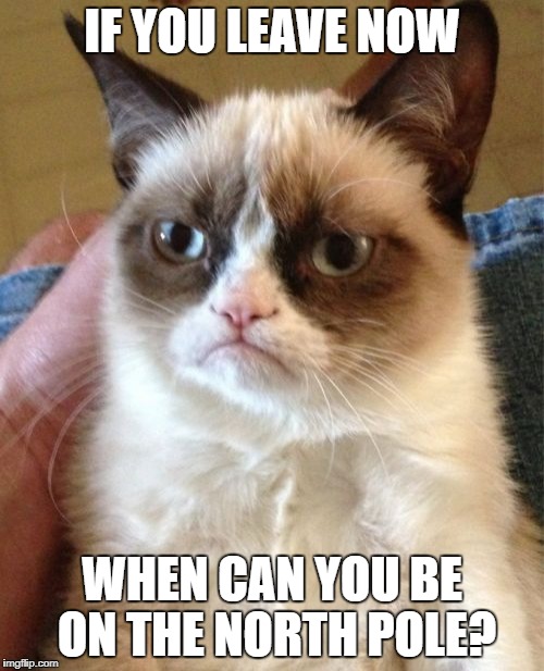 Insult of the day | IF YOU LEAVE NOW; WHEN CAN YOU BE ON THE NORTH POLE? | image tagged in memes,grumpy cat | made w/ Imgflip meme maker