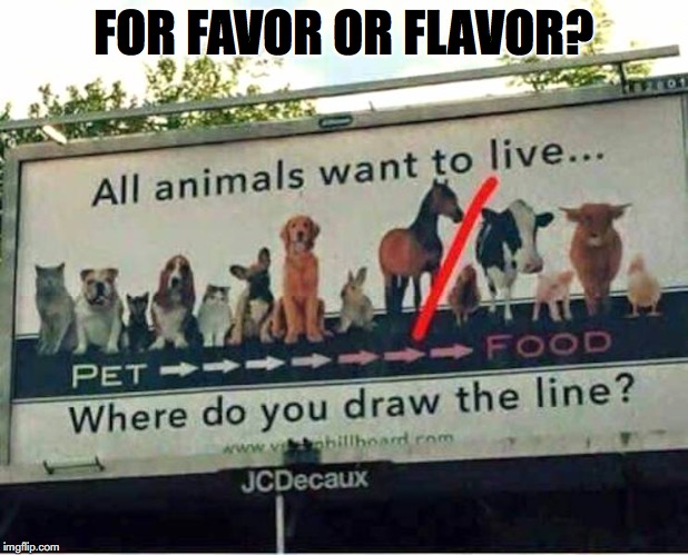 Animals We Love | FOR FAVOR OR FLAVOR? | image tagged in food,pets,carnivores,cute,food memes | made w/ Imgflip meme maker