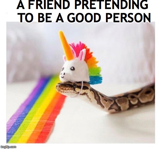 Hidden | A FRIEND PRETENDING TO BE A GOOD PERSON | image tagged in snake,fake people | made w/ Imgflip meme maker