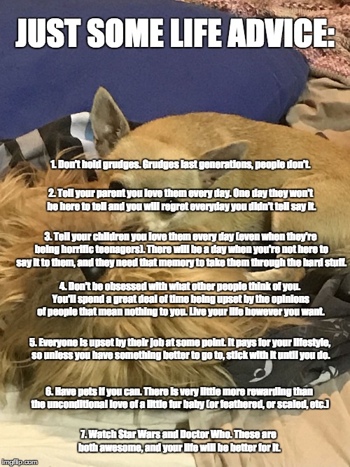 JUST SOME LIFE ADVICE:; 1. Don't hold grudges. Grudges last generations, people don't. 2. Tell your parent you love them every day. One day they won't be here to tell and you will regret everyday you didn't tell say it. 3. Tell your children you love them every day (even when they're being horrific teenagers). There will be a day when you're not here to say it to them, and they need that memory to take them through the hard stuff. 4. Don't be obsessed with what other people think of you. You'll spend a great deal of time being upset by the opinions of people that mean nothing to you. Live your life however you want. 5. Everyone is upset by their job at some point. It pays for your lifestyle, so unless you have something better to go to, stick with it until you do. 6. Have pets if you can. There is very little more rewarding than the unconditional love of a little fur baby (or feathered, or scaled, etc.); 7. Watch Star Wars and Doctor Who. These are both awesome, and your life will be better for it. | image tagged in life advice,star wars,doctor who | made w/ Imgflip meme maker