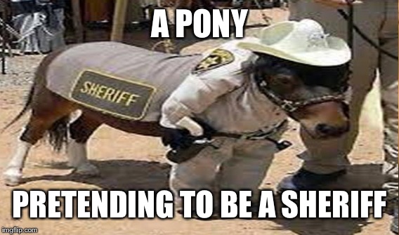 A PONY PRETENDING TO BE A SHERIFF | made w/ Imgflip meme maker
