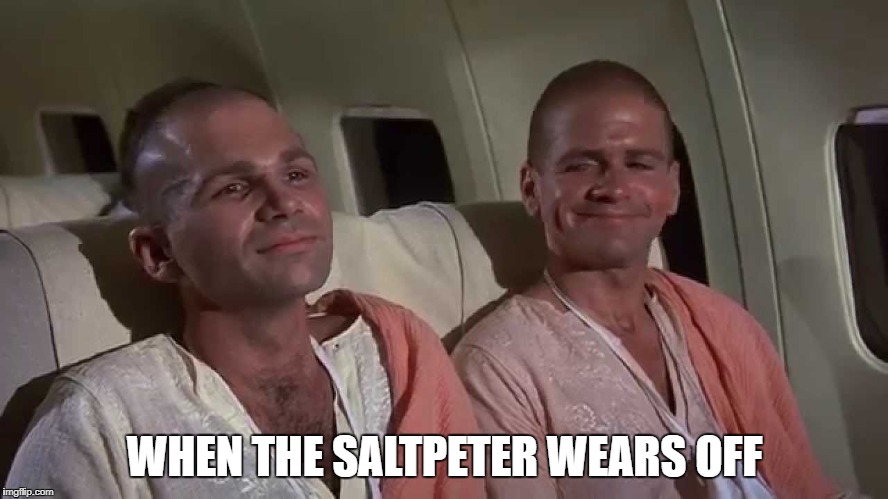 When the Saltpeter Wears Off | WHEN THE SALTPETER WEARS OFF | image tagged in airplane,saltpeter,hare krishna | made w/ Imgflip meme maker