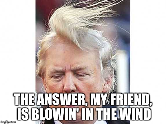 Trump | THE ANSWER, MY FRIEND, IS BLOWIN' IN THE WIND | image tagged in in the wind | made w/ Imgflip meme maker