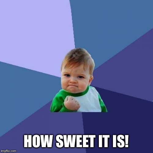 Success Kid Meme | HOW SWEET IT IS! | image tagged in memes,success kid | made w/ Imgflip meme maker