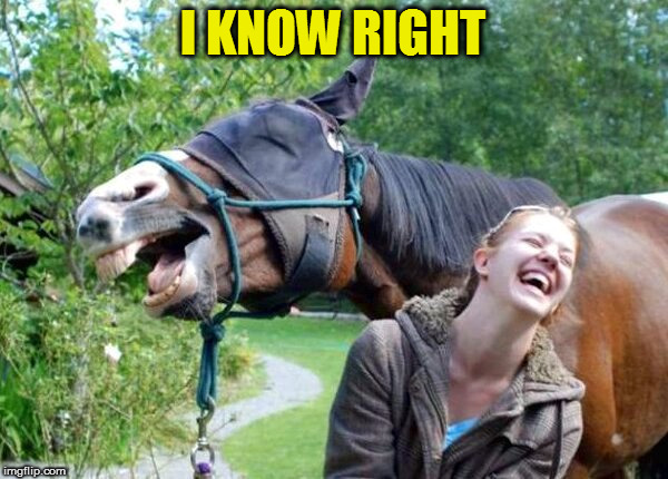 Laughing Horse | I KNOW RIGHT | image tagged in laughing horse | made w/ Imgflip meme maker