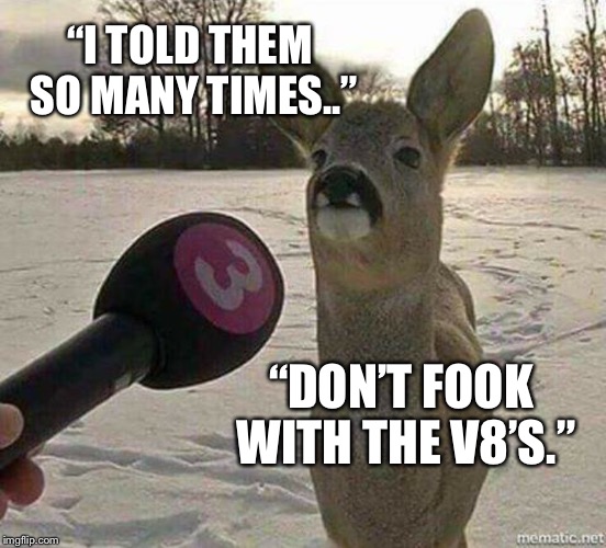 Deer interviewed | “I TOLD THEM SO MANY TIMES..”; “DON’T FOOK WITH THE V8’S.” | image tagged in deer interviewed | made w/ Imgflip meme maker