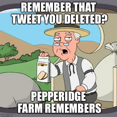Pepperidge Farm Remembers | REMEMBER THAT TWEET YOU DELETED? PEPPERIDGE FARM REMEMBERS | image tagged in memes,pepperidge farm remembers | made w/ Imgflip meme maker