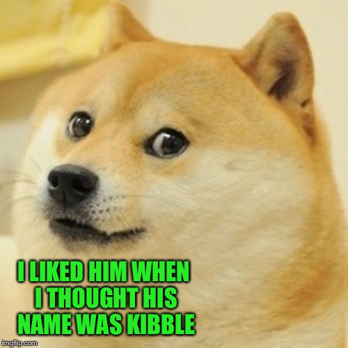 Doge Meme | I LIKED HIM WHEN I THOUGHT HIS NAME WAS KIBBLE | image tagged in memes,doge | made w/ Imgflip meme maker