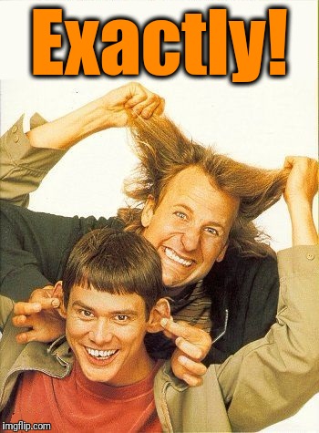 DUMB and dumber | Exactly! | image tagged in dumb and dumber | made w/ Imgflip meme maker