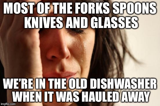 True Story | MOST OF THE FORKS SPOONS KNIVES AND GLASSES; WE’RE IN THE OLD DISHWASHER WHEN IT WAS HAULED AWAY | image tagged in memes,first world problems,true story | made w/ Imgflip meme maker