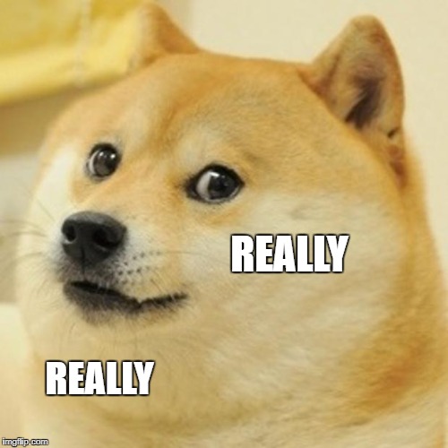 Doge | REALLY; REALLY | image tagged in memes,doge | made w/ Imgflip meme maker