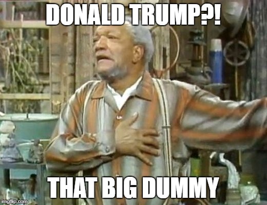 DONALD TRUMP?! THAT BIG DUMMY | image tagged in funny,donald trump | made w/ Imgflip meme maker