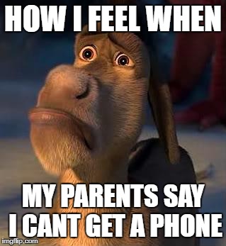 sad donkey | HOW I FEEL WHEN; MY PARENTS SAY I CANT GET A PHONE | image tagged in sad donkey | made w/ Imgflip meme maker
