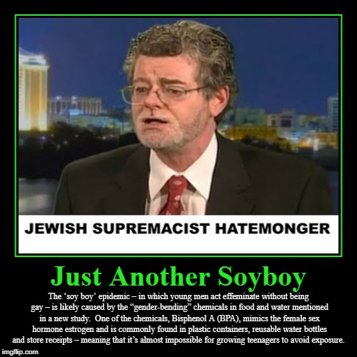 Just Another Soyboy | Just Another Soyboy | The ‘soy boy’ epidemic – in which young men act effeminate without being gay – is likely caused by the “gender-bending | image tagged in mark potok,soyboy,gender bender,jewish supremacist hatemonger | made w/ Imgflip demotivational maker