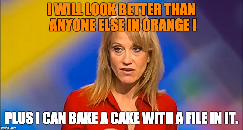 Kellyanne Conway Spin Dr. | I WILL LOOK BETTER THAN ANYONE ELSE IN ORANGE ! PLUS I CAN BAKE A CAKE WITH A FILE IN IT. | image tagged in kellyanne conway spin dr | made w/ Imgflip meme maker