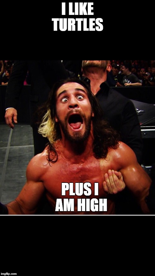 WWE retake | I LIKE TURTLES; PLUS I AM HIGH | image tagged in wwe retake | made w/ Imgflip meme maker