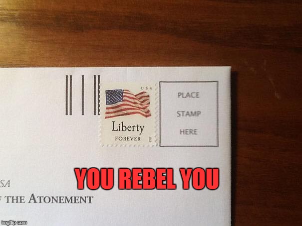  YOU REBEL YOU | image tagged in rebels | made w/ Imgflip meme maker