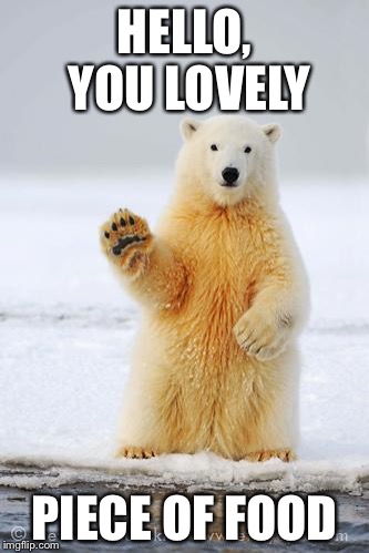 hello polar bear | HELLO, YOU LOVELY; PIECE OF FOOD | image tagged in hello polar bear | made w/ Imgflip meme maker