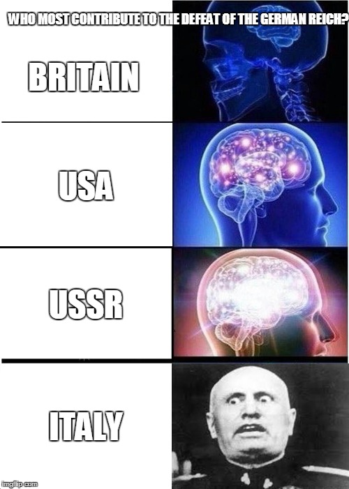 Who contribute the most? | WHO MOST CONTRIBUTE TO THE DEFEAT OF THE GERMAN REICH? BRITAIN; USA; USSR; ITALY | image tagged in memes,expanding brain,ww2 | made w/ Imgflip meme maker