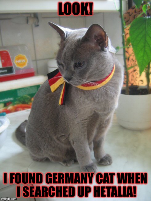 sad cat meme in german Diagram