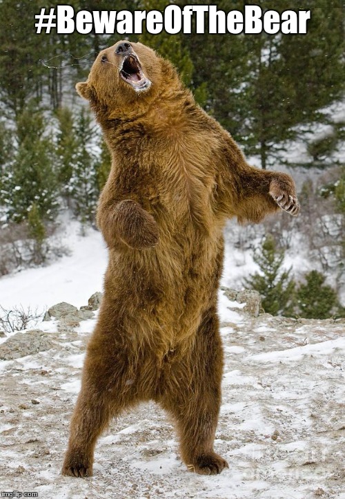 Beware of the Bear | #BewareOfTheBear | image tagged in bear,safari | made w/ Imgflip meme maker