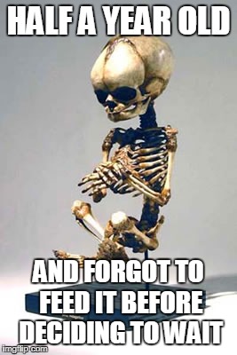 HALF A YEAR OLD AND FORGOT TO FEED IT BEFORE DECIDING TO WAIT | made w/ Imgflip meme maker