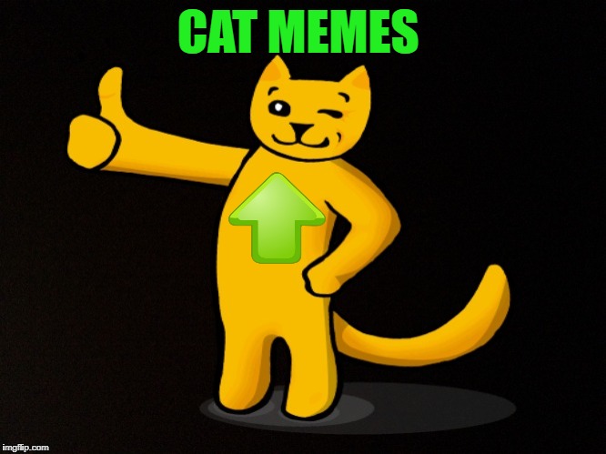 CAT MEMES | made w/ Imgflip meme maker