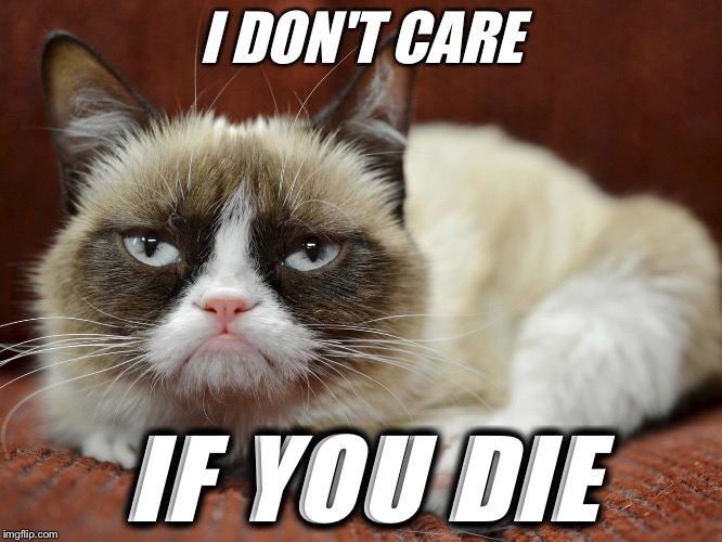 I don't care if you DIE | I DON'T CARE; IF YOU DIE | image tagged in grumpy cat,savage,savage memes,grumpy cat memes | made w/ Imgflip meme maker