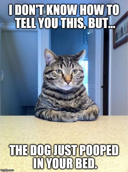 Uh... | I DON'T KNOW HOW TO TELL YOU THIS, BUT... THE DOG JUST POOPED IN YOUR BED. | image tagged in take a seat cat,dog poop,bed | made w/ Imgflip meme maker