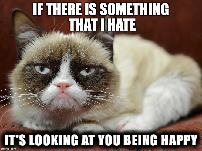 IF THERE IS SOMETHING THAT I HATE; IT'S LOOKING AT YOU BEING HAPPY | image tagged in grumpy cat,savage memes,grumpy cat memes | made w/ Imgflip meme maker