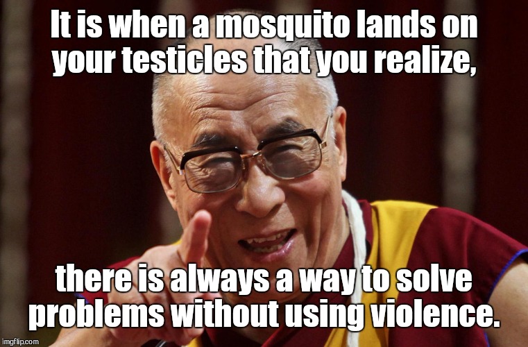 dalai lama | It is when a mosquito lands on your testicles that you realize, there is always a way to solve problems without using violence. | image tagged in dalai lama | made w/ Imgflip meme maker