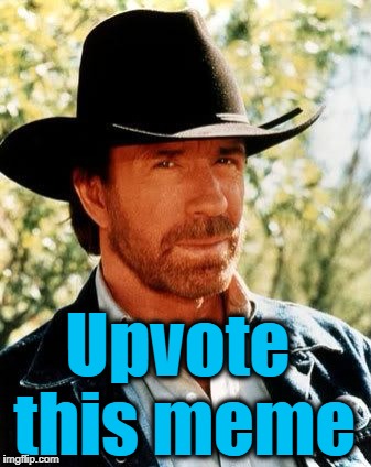 Chuck has spoken | Upvote this meme | image tagged in memes,chuck norris | made w/ Imgflip meme maker