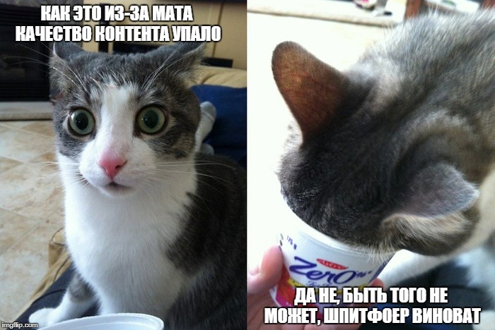 24dykb.jpg