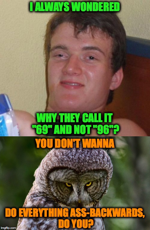 10 Guy and The Wise Ol' Owl | I ALWAYS WONDERED; WHY THEY CALL IT "69" AND NOT "96"? YOU DON'T WANNA; DO EVERYTHING ASS-BACKWARDS, DO YOU? | image tagged in 69 | made w/ Imgflip meme maker