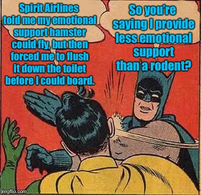 Batman Slapping Robin | Spirit Airlines told me my emotional support hamster could fly, but then forced me to flush it down the toilet before I could board. So you’re saying I provide less emotional support than a rodent? | image tagged in memes,batman slapping robin | made w/ Imgflip meme maker