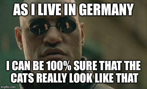 Matrix Morpheus Meme | AS I LIVE IN GERMANY I CAN BE 100% SURE THAT THE CATS REALLY LOOK LIKE THAT | image tagged in memes,matrix morpheus | made w/ Imgflip meme maker